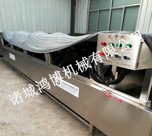 商用連續(xù)式強流風干機