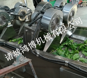 水果風(fēng)干機